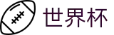 FIFA世界杯入口 - 中文赛事互娱平台
